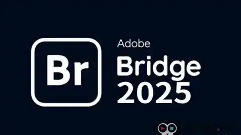 Bridge.2025破解版,安装即用